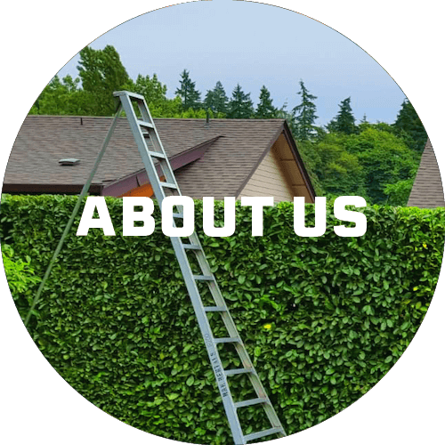 Green-gold-landscaping-WA-About-Us
