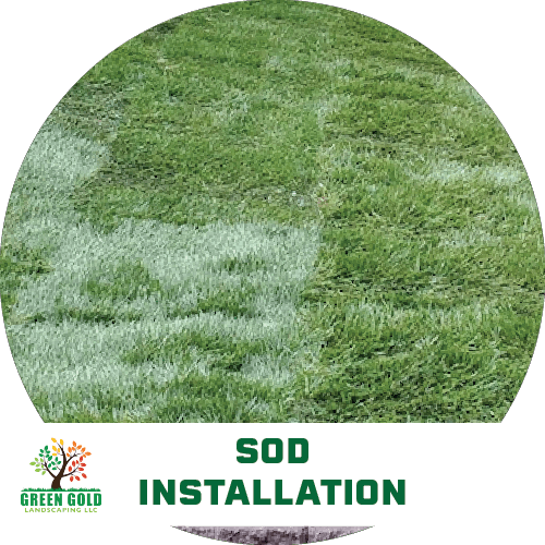 Sod-installation-yard-grass-patio-garden-services-icon