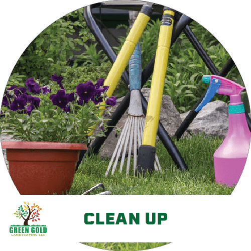 clean-up-garden-patio-maintenance-services-icon